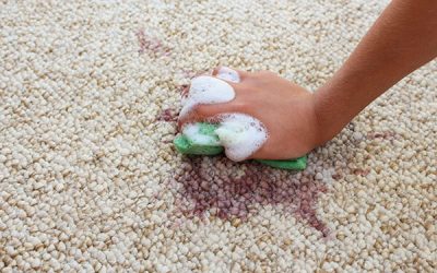Bor folt tisztítása a szőnyegről